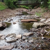Astakus_Aktuelles_OlewigerBach_neu_02