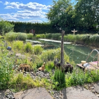 Schwimmteich