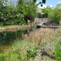Astakus_Aktuelles_Gartenpraemierung_03