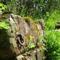 Astakus_Aktuelles_Gartenpraemierung_05