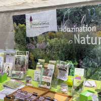Naturgarten